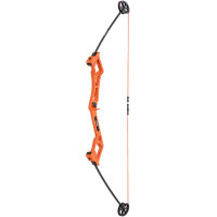 BEAR ARCHERY Valiant - 34 pouces - 7-16,5 lbs - Arc pour débutants