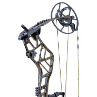 BEAR ARCHERY Persist 33 - 45-70 lbs - Arc à poulies