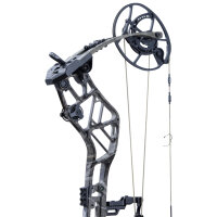 BEAR ARCHERY Persist 33 - 45-70 lbs - Arc à poulies