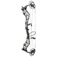 BEAR ARCHERY Persist 33 - 45-70 lbs - Arc à poulies