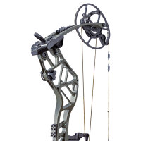 BEAR ARCHERY Persist 33 - 45-70 lbs - Arc à poulies