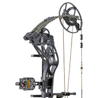 BEAR ARCHERY Whitetail INT RTH - 45-70 lbs - Arc à poulies