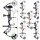 BEAR ARCHERY Species XT RTH - 45-70 lbs - Arc à poulies