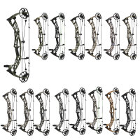 HOYT Alpha AX-2 29 - 40-80 lbs - Arc à poulies