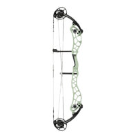 BOWTECH Reckoning GEN2 39 - 40-70 lbs - Compoundbogen