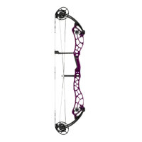 BOWTECH Reckoning GEN2 39 - 40-70 lbs - Compoundbogen