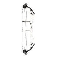 BOWTECH Reckoning GEN2 39 - 40-70 lbs - Compoundbogen