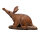 WILDCRETE 3D Erdferkel