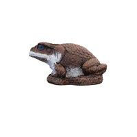 WILDCRETE 3D Aga - Kröte