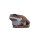 WILDCRETE 3D Aga - Crapaud