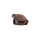 WILDCRETE 3D Aga - Crapaud