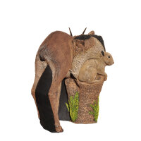 WILDCRETE 3D Dikdik