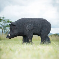 WILDCRETE 3D Sanglier
