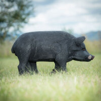 WILDCRETE 3D Cochon domestique noir
