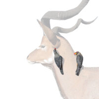 WILDCRETE 3D Madenhacker