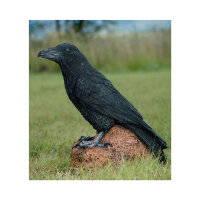 WILDCRETE 3D Corbeau
