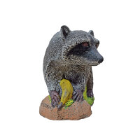 WILDCRETE 3D Raton laveur