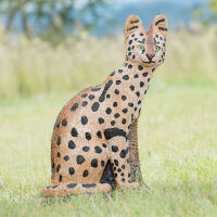 WILDCRETE 3D Chat sauvage
