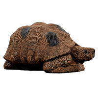 WILDCRETE 3D Tortue