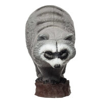 IBB 3D Waschbär - Zorro