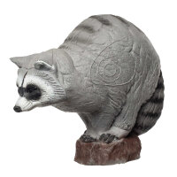 IBB 3D Waschbär - Zorro