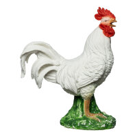 IBB 3D Coq