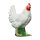 IBB 3D Poule - blanc