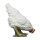 IBB 3D Henne - weiss - pickend