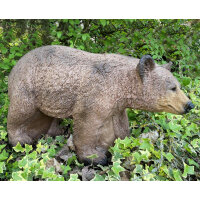 FRANZBOGEN - Ours en peluche en mouvement