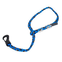 AURORA Competition - Dragonne