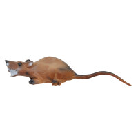 LONGLIFE Ratte