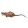 LONGLIFE Ratte