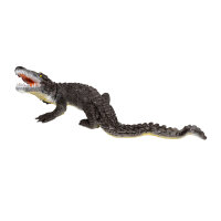FRANZBOGEN - Grand alligator
