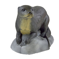 SRT Loutre