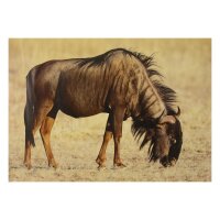 STRONGHOLD Blason nature - Gnou 30 x 42 cm...