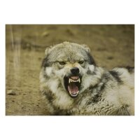 STRONGHOLD Blason nature - Loup menaçant - 30 x 42...