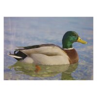 STRONGHOLD Blason nature - Canard II - 30 x 42 cm -...