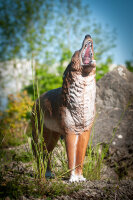 CENTER-POINT 3D Coyote - Made in Germany