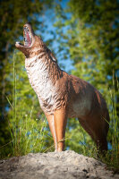 CENTER-POINT 3D Coyote - Made in Germany