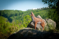 CENTER-POINT 3D Coyote - Made in Germany