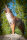 CENTER-POINT 3D Coyote - Made in Germany
