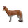 LEITOLD Coyote