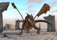 STRONGHOLD Blason de jeux - Dragon - 59 x 84 cm -...