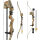 EVANS Wind Fire - Set arc recourbé - 20 lbs